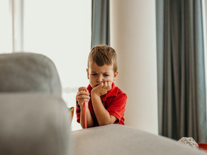 Pathological Demand Avoidance